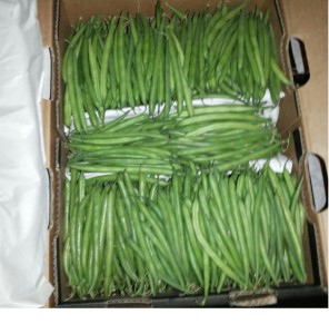 greenbeans